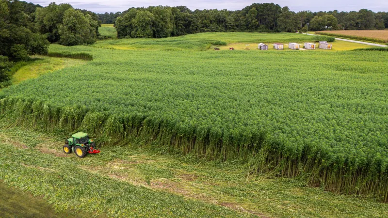 The Journey Inside Your Bottle: Following American Hemp From Soil to Shelf